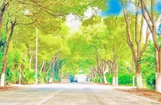 动漫风的美景,美景图动漫