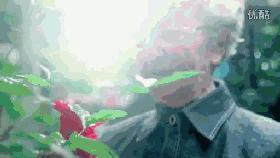 除了可口可乐的自拍瓶，快消品还有这20种玩法