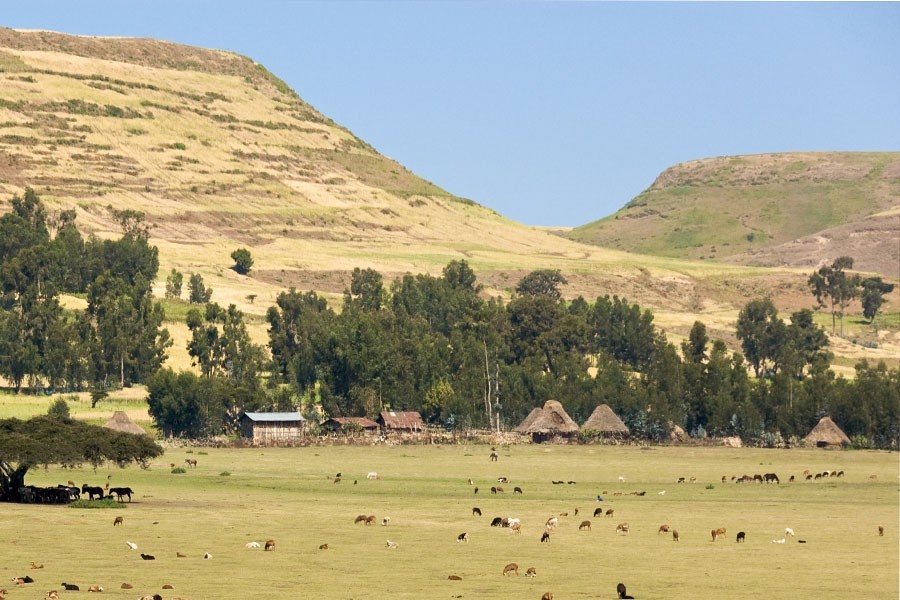 波尔多旅游,东方波尔多旅游攻略