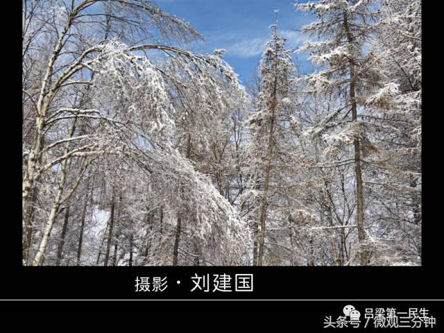 岚县野鸡山位于哪里,山西吕梁山雪景图片