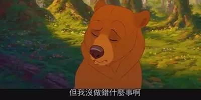 圣诞不知去哪，不如在家看这6部素食电影