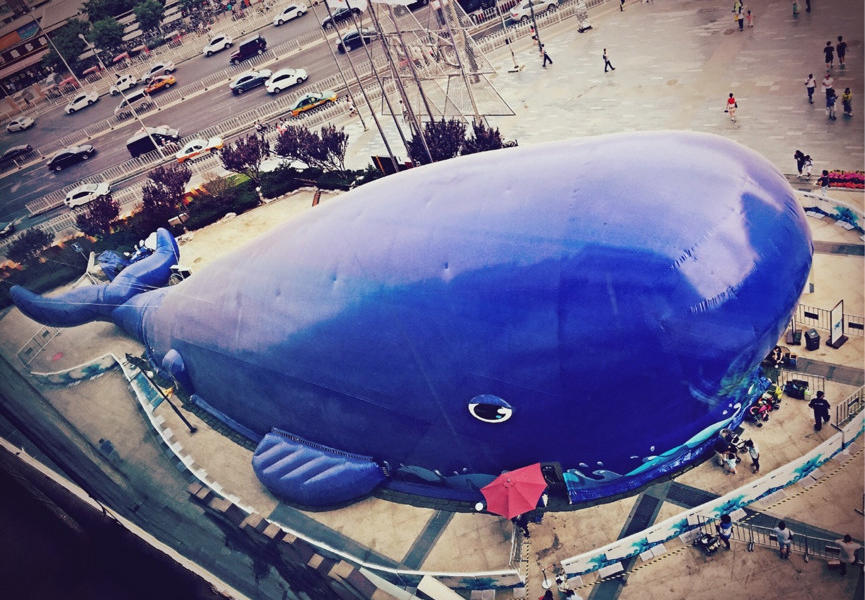 济南适合带孩子玩的室内乐园,春季儿童游玩好去处推荐