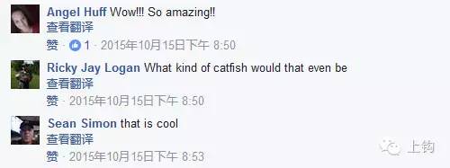 钓手钓上一条鲶鱼，网友说这是荷兰乳牛的变种