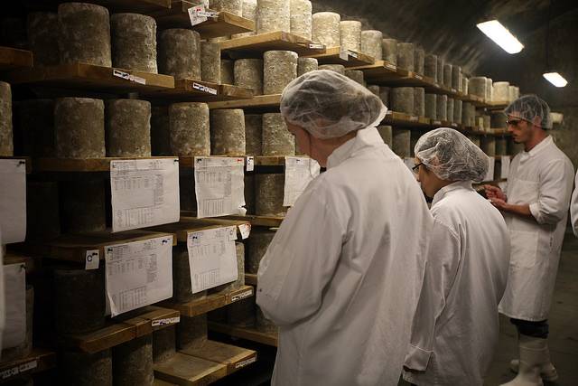 「环宇采撷」人类学家看奶酪