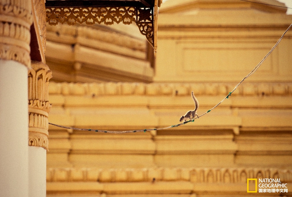 苦集灭道——金色缅甸追忆