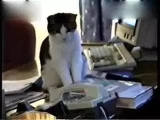 春运火车票本周五正式开售,春运火车票今天预售到元月多少号