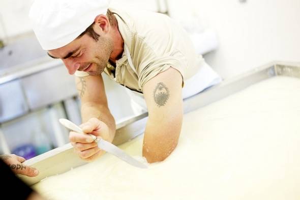 「环宇采撷」人类学家看奶酪