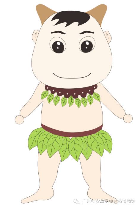 家有千里光一生不生疮是什么意思,家有千里光不生疮