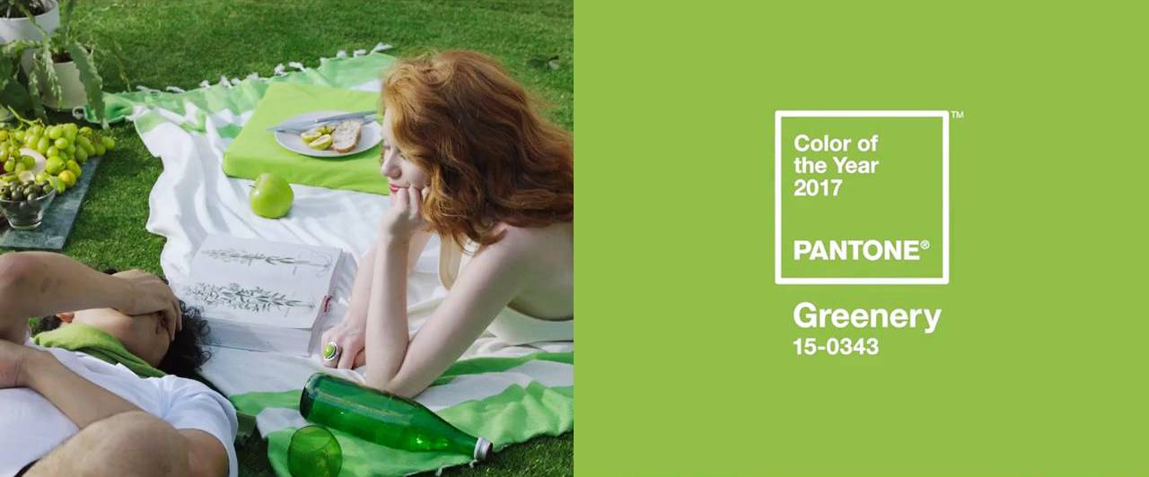 2017年的流行色草木绿,2022年的春季流行色
