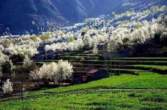 川西阿坝小众冷门自驾,阿坝真正冷门小众秘境