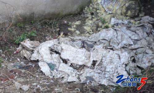 死鸡死鸭被扔到北塘河畔恶臭熏天两区联合处理