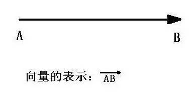 向量的发展史详解,关于向量那些事