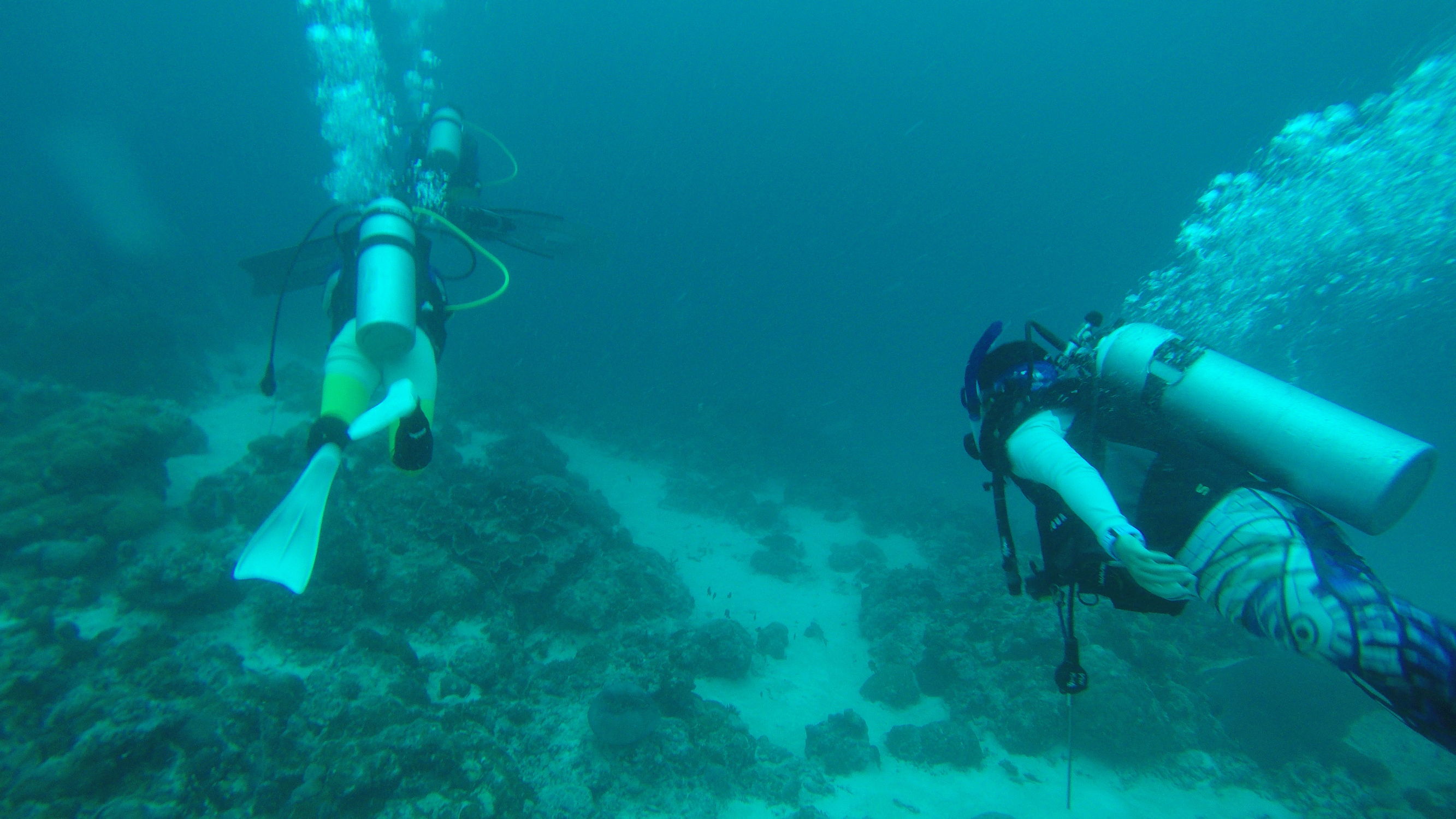 Mini帕劳，有片伟大的海洋（一）