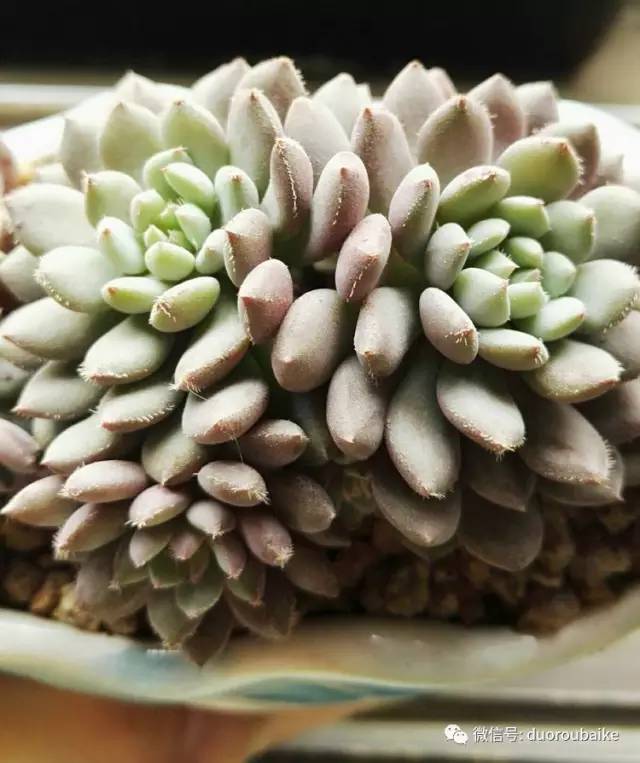 美好的时光带来快乐,美好的时光伴随着我