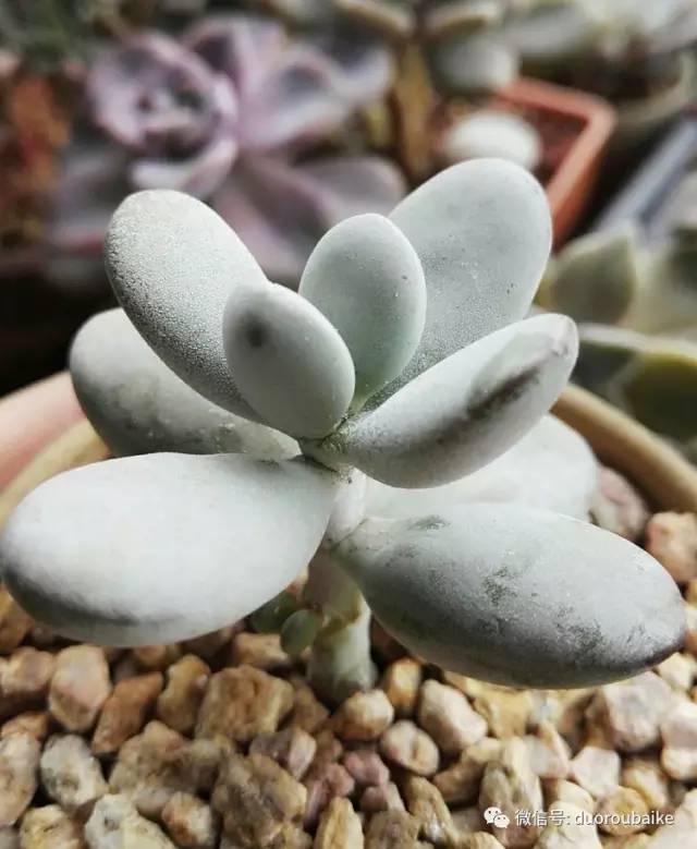 美好的时光带来快乐,美好的时光伴随着我