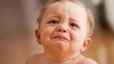 澳大利亚的新鲜樱桃,国内澳洲樱桃