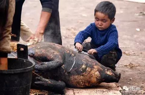 彝族特点菜肴坨坨肉图片,彝族特点酒