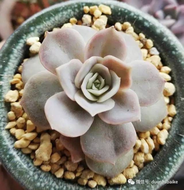 美好的时光带来快乐,美好的时光伴随着我