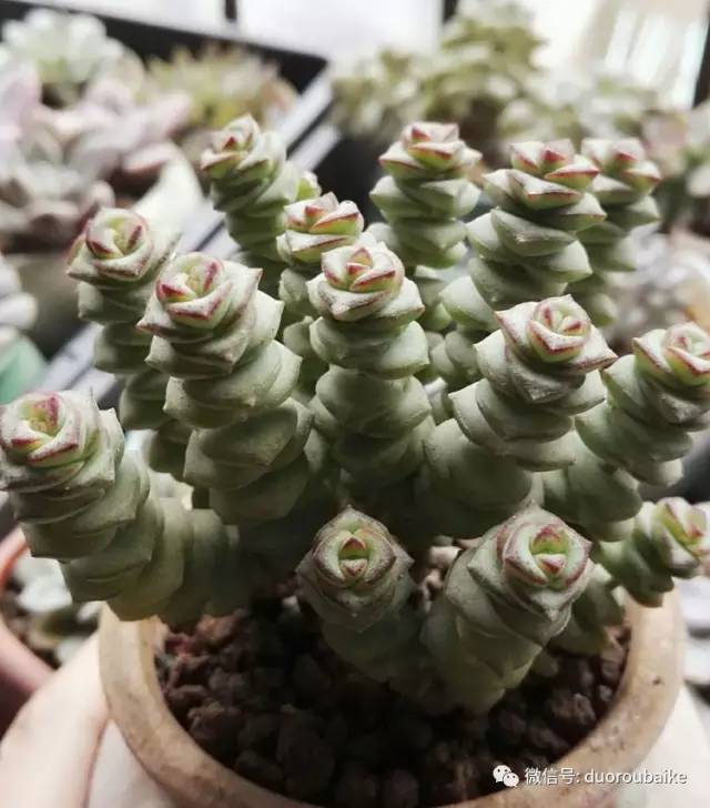 美好的时光带来快乐,美好的时光伴随着我