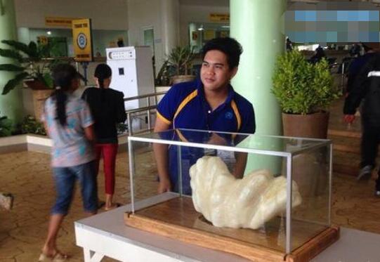 世界上贝壳里面最大的珍珠,最大珍珠贝壳