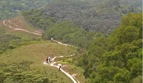 香港经典38条登山路线,香港徒步太平山顶路线