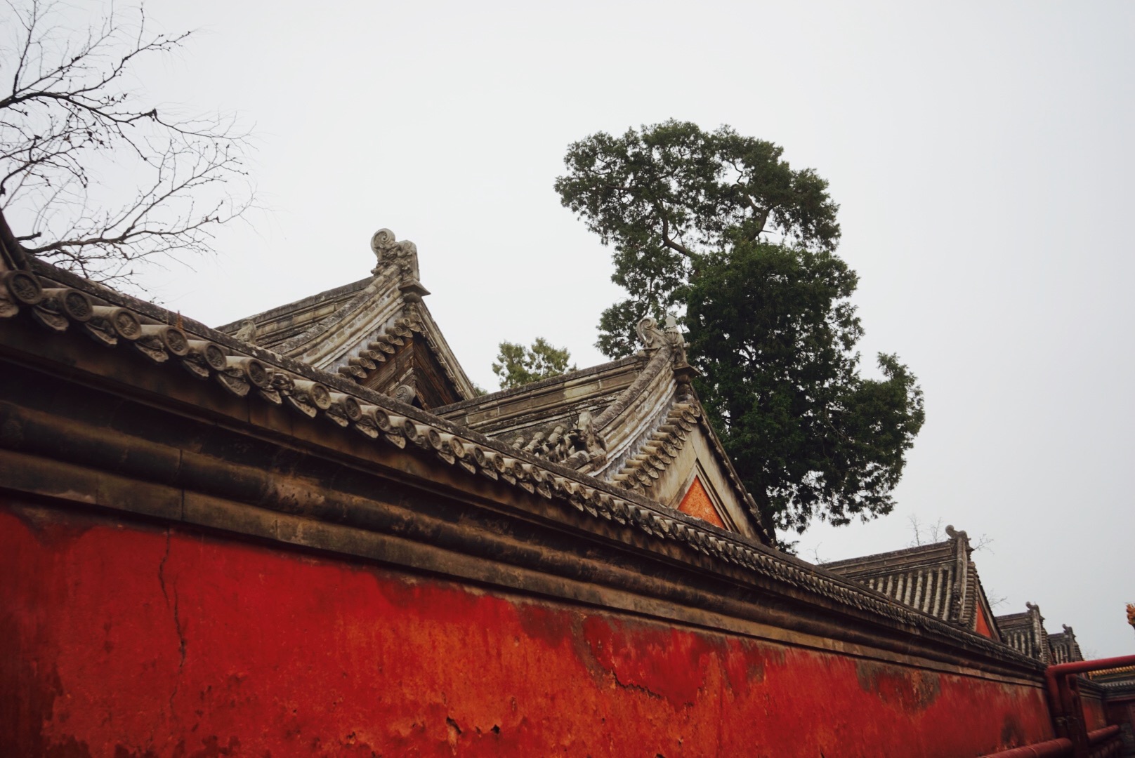 故宫摹印传,故宫摹印传人