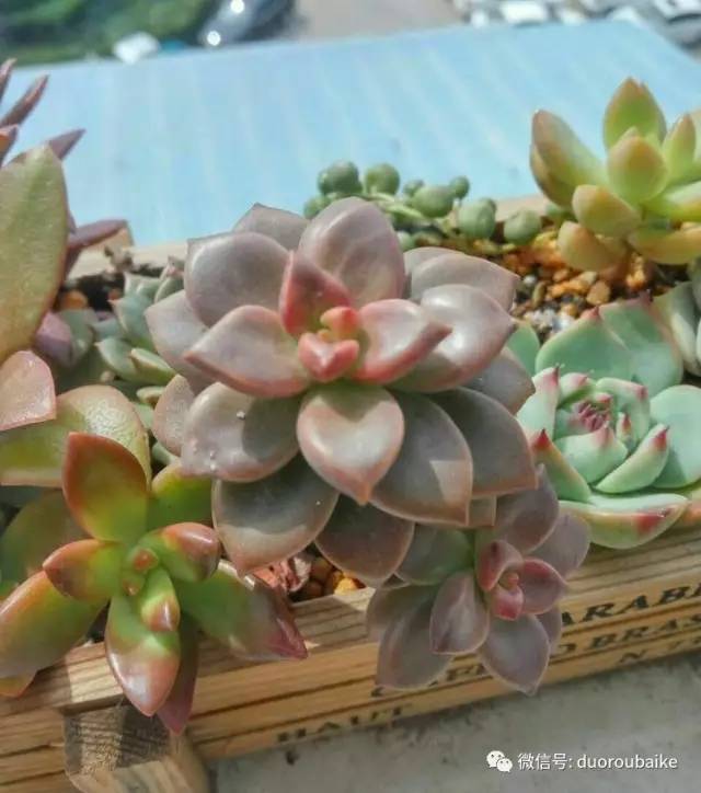 美好的时光带来快乐,美好的时光伴随着我