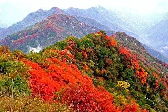 情侣每年都去一个地方拍照,情侣旅行同一个地方拍照