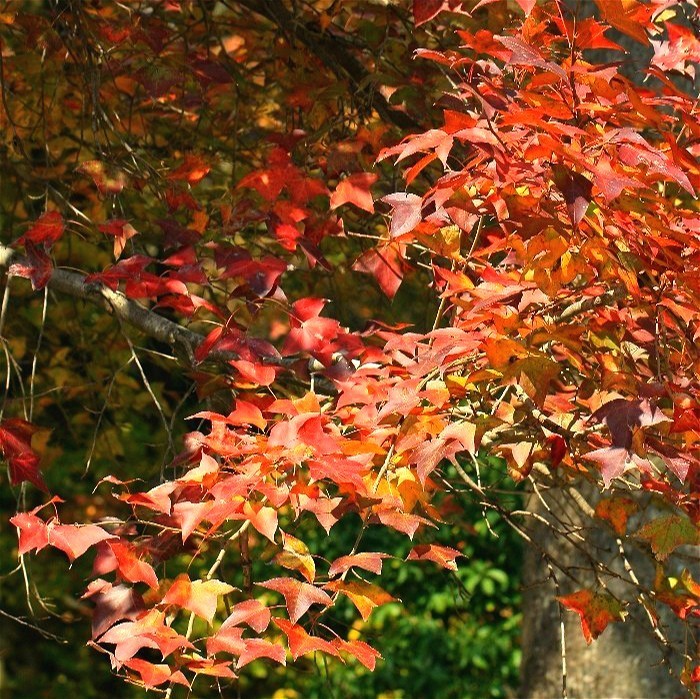 情侣每年都去一个地方拍照,情侣旅行同一个地方拍照