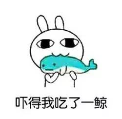 春运首日火车票明起发售,春运首日火车票即将开售