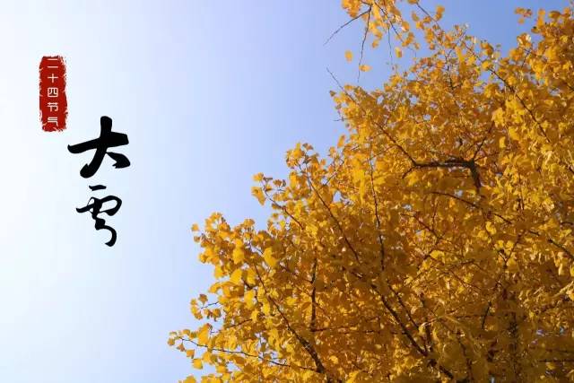 春运首日火车票明起发售,春运首日火车票即将开售