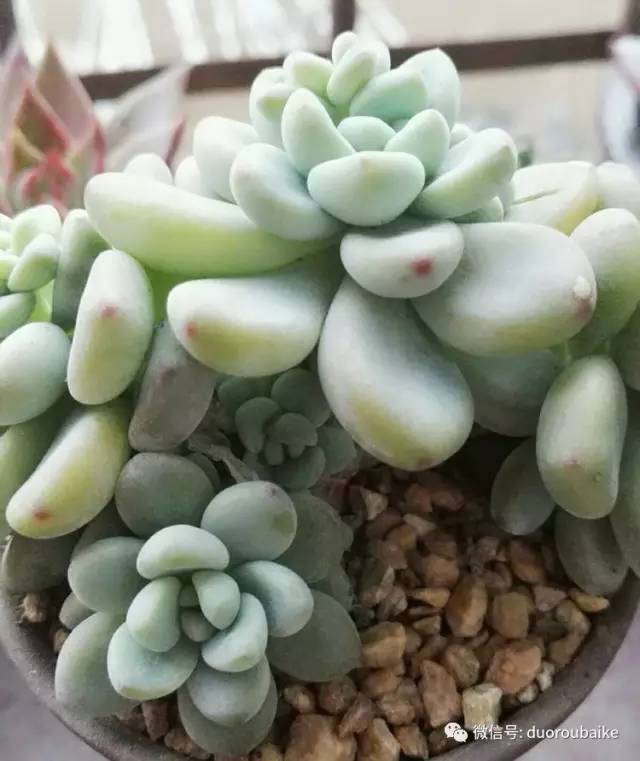 美好的时光带来快乐,美好的时光伴随着我