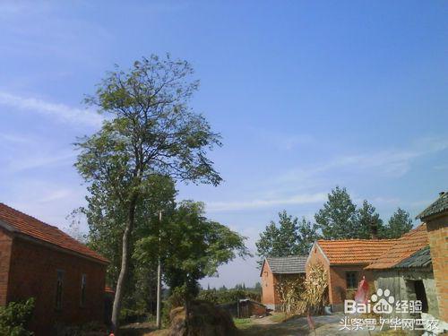 城里人到农村生活需要注意什么？农村信用社个人网上银行怎么开通