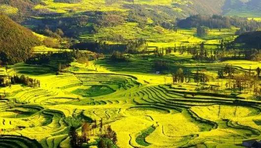 老公/男票要去这里拈花惹草，你居然不阻止还说好？！