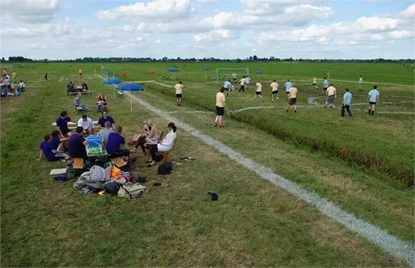 奇葩荷兰,奇葩荷兰联赛