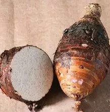 福鼎槟榔芋烹饪方法,槟榔芋的正确做法