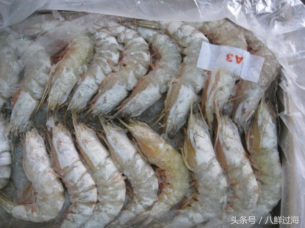 阿根廷红虾和北极虾哪个好,阿根廷红虾vs北极甜虾对比