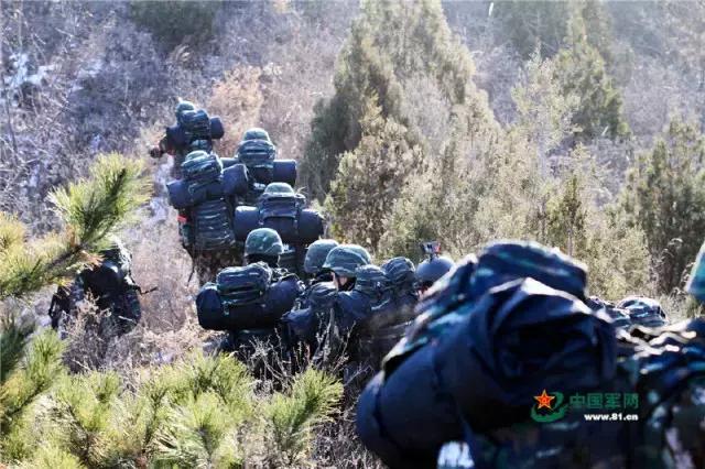 特战旅训练直播,特战特训营训练多久