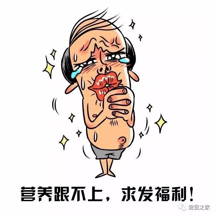 缇庨澶╀笅鍏荤敓澶у笀,缇庨澶╀笅棣欑尓