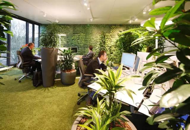 年度流行色盘点,流行色2023春夏经典绿隆重登场