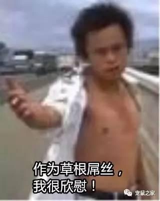 缇庨澶╀笅鍏荤敓澶у笀,缇庨澶╀笅棣欑尓