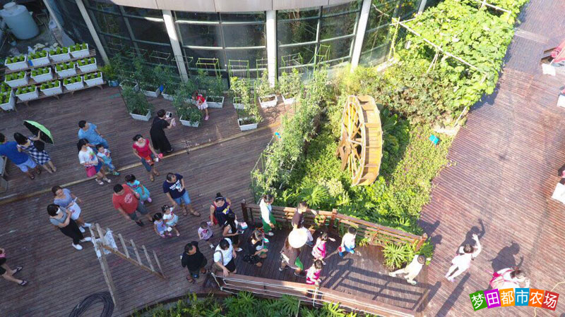 公司年会适合去的地方,公司年会去哪好