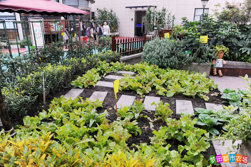 公司年会适合去的地方,公司年会去哪好