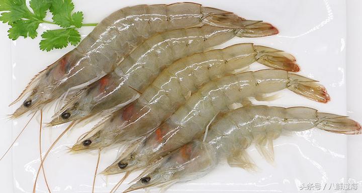 阿根廷红虾和北极虾哪个好,阿根廷红虾vs北极甜虾对比