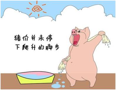 年前破9是否还有望，成为近期困扰养殖户的新问题