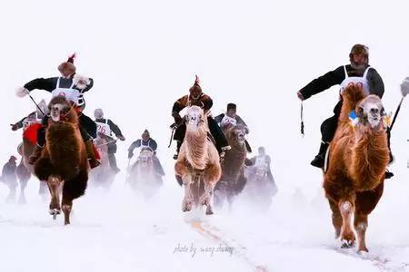 呼伦贝尔草原那达慕大会时间,夏季那达慕大会呼伦贝尔