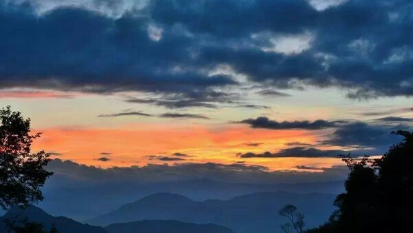 记忆中那片竹林,走进山林勾起的记忆
