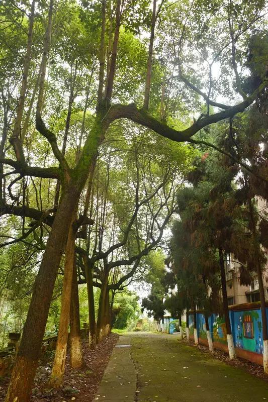 Hello！眉山车辆厂！只有东北人能看懂！