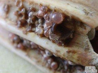 此物是佛门之宝，夜晚能发出诡异的光芒，千百年来谜团重重