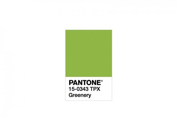 2017流行色发色,2017年的流行色草木绿